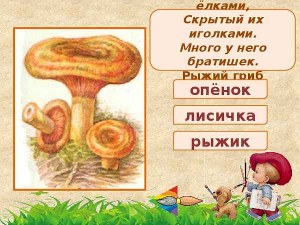 
    Факультативный курс по биологии для школы полного дня "Калейдоскоп грибов"

      
