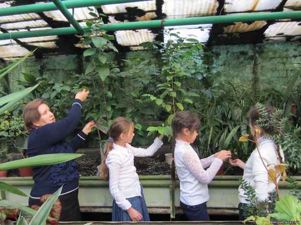 
    Занятие в творческом объединении "Цветоводство"

      