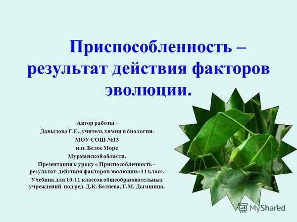 
    Урок "Приспособленность — результат действия факторов эволюции"

      