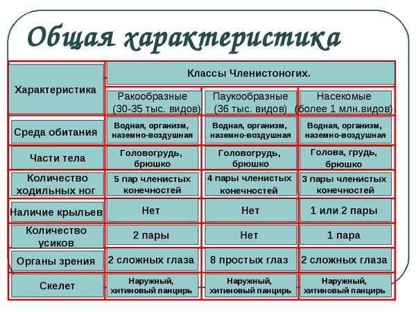 
    Урок биологии в 7-м классе "Общая хаpaктеристика насекомых"

      
