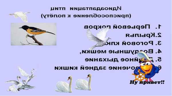 
    Урок-зачет "Все о птицах". 7-й класс

      