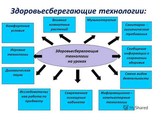 
    Роль здоровьесберегающих технологий в формировании понятий на уроках биологии

      