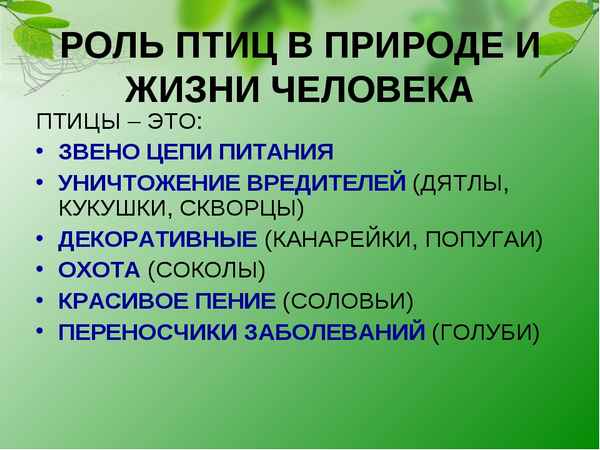 
    Урок биологии "Роль птиц в природе и жизни человека, их охрана" (7-й класс)

      