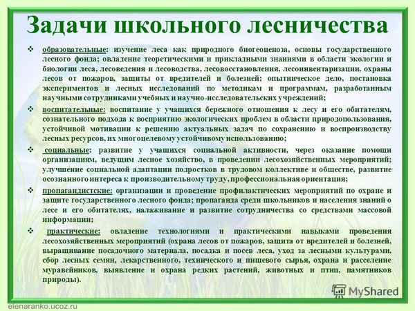 
    Школьное лесничество как средство повышения мотивации в обучении биологии и экологии

      