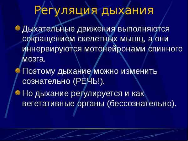 
    Дыхательные движения и их регуляция

      