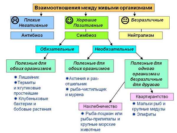 
    Взаимоотношения между организмами

      