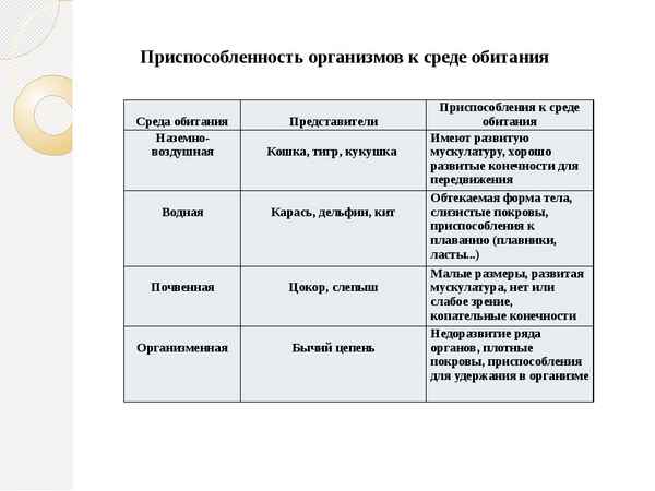 
    Открытый урок по биологии в 9-м классе "Приспособленность организмов к среде обитания"

      