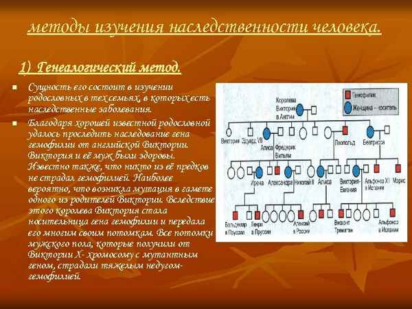 
    Генеалогия как метод изучения наследственности человека (защита проектов)

      
