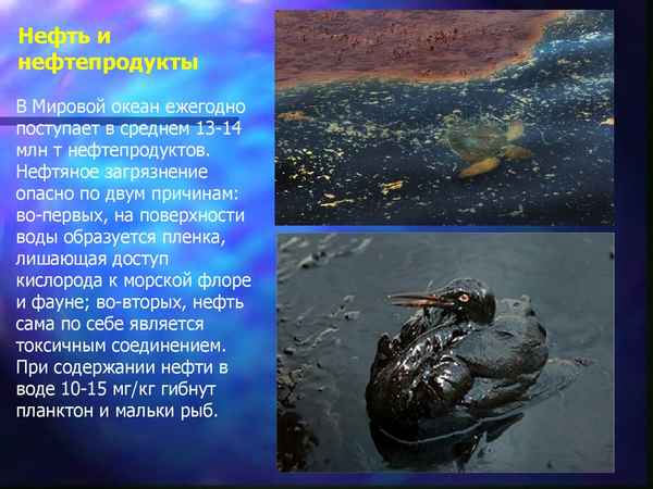 
    Проект урока биологии в 7-м классе с элементами экологии по теме "Загрязнение Мирового океана нефтью и влияние его на живые организмы"

      