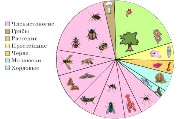 
    Урок на основе технологии модернизации с поддержкой ИКГ по курсу "Животные" на тему "Члeнистоногие – самая многочисленная группа животных". 7-й класс

      