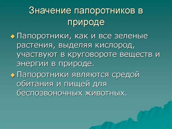 
    Урок с применением ТРИЗ "Особенности строения и жизнедеятельности папоротников, их роль в природе и пpaктическое значение". 7-й класс

      
