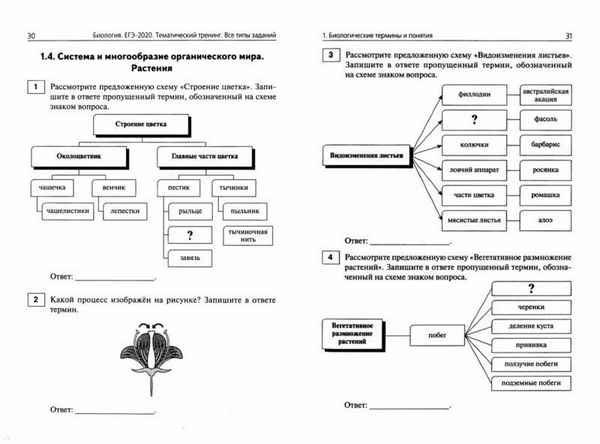 
    Подготовка к ЕГЭ по биологии с учетом особенностей составления заданий

      