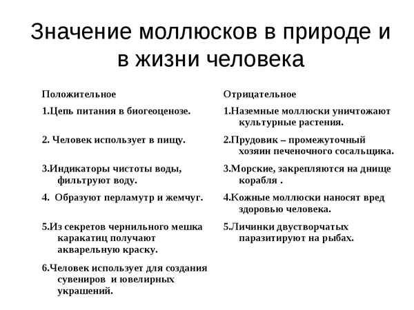 
    Многообразие моллюсков, значение их в природе и жизни человека

      