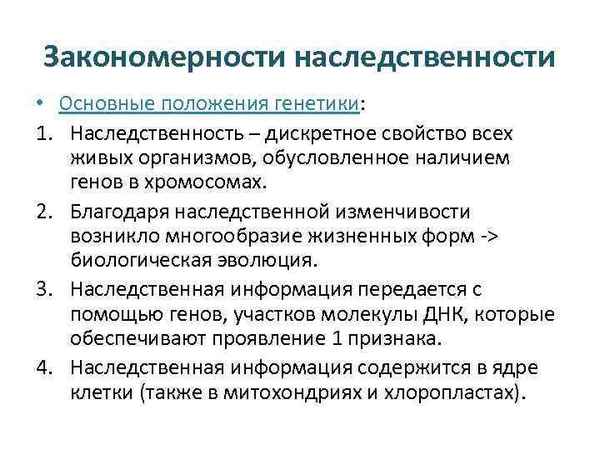 
    Основные закономерности явлений наследственности

      