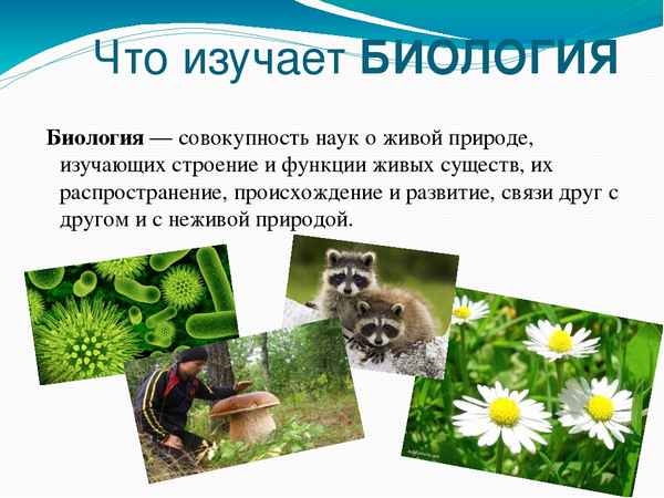 
    Что я знаю о живых организмах. 5-й класс

      