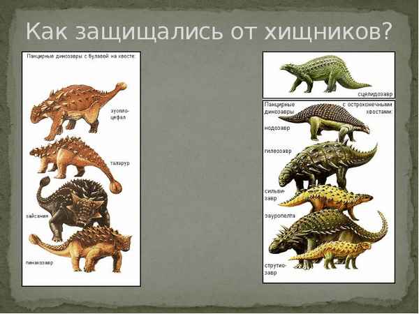 
    Когда владыками суши были динозавры. 7-й класс

      