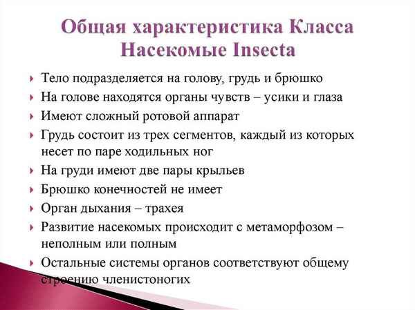 
    Класс насекомые. Общая хаpaктеристика

      