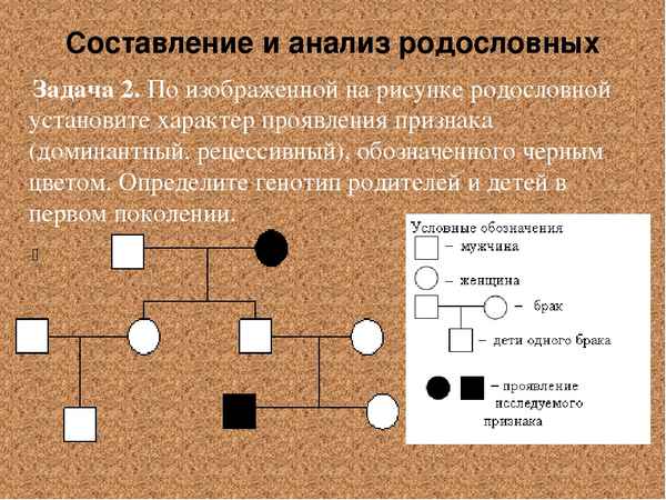 
    Решение генетических задач. Анализ и составление родословных

      
