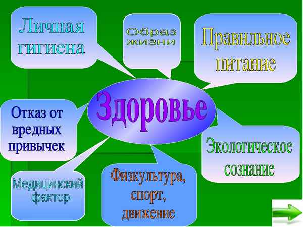 
    Здоровье школьника – будущее нации

      