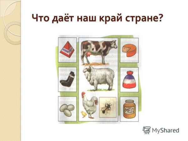 
    Что дает наш край стране

      