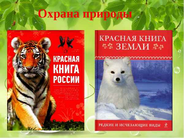 
    Охрана природы. Красная книга

      