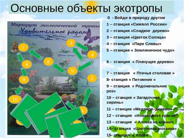 
    Методическая разработка материала для проведения экскурсии по школьной экологической тропе "Географическая шпаргалка"

      