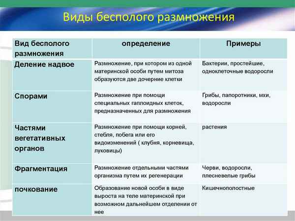 
    Виды размножения. Бесполое размножение

      