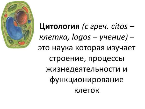 
    "Эта чудесная клетка" (с использованием тренажера "Основы учения о клетке")

      