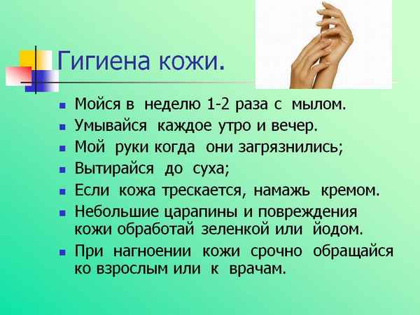 
    Гигиена кожи. 8-й класс

      