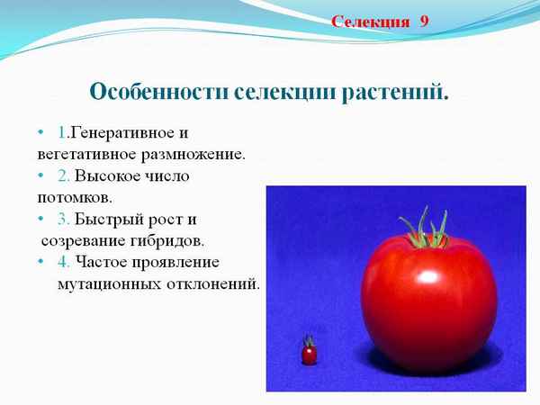 
    Особенности селекции растений

      