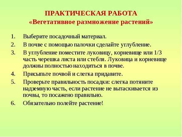 
    Пpaктическая работа "Вегетативное размножение растений"

      