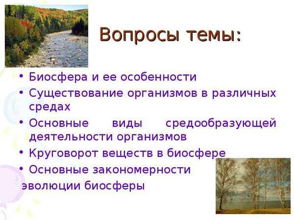 
    Урок биологии по теме "Биосферный уровень. Средообразующая деятельность организмов". 9-й класс

      