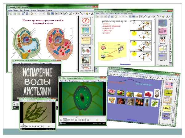 
    Реальные знания через виртуальную биологию, или Использование цифровых образовательных ресурсов на уроках биологии

      