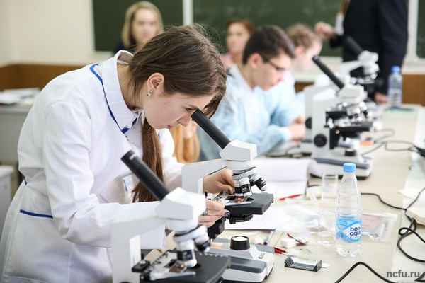 
    Проведение школьной биологической олимпиады

      