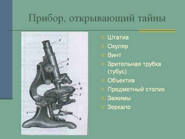 
    Прибор, открывающий тайны

      