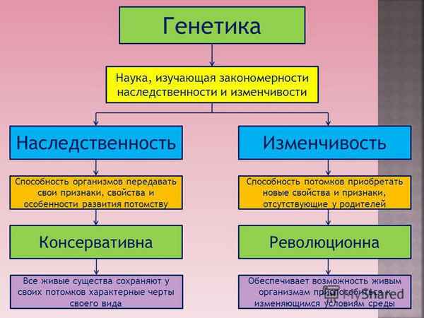 
    Формирование умений проектной деятельности у обучающихся при изучении наследственной изменчивости организмов

      