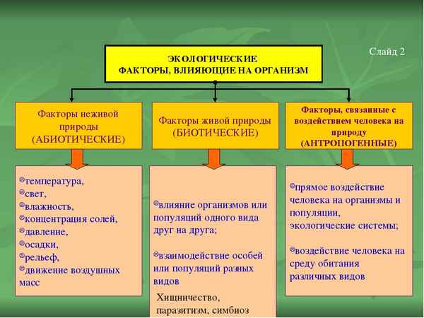 
    Факторы среды и их влияние на биоценозы

      