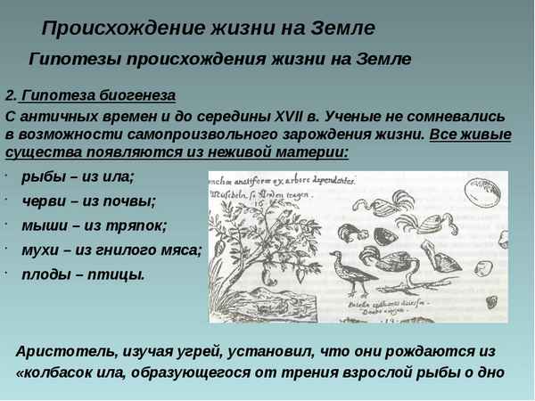 
    Тема урока "Возникновение жизни на Земле"

      