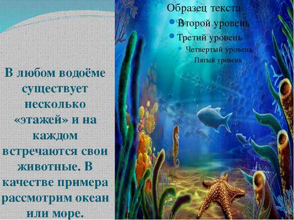 
    Урок экологии в 7-м классе "Водоем как многоэтажное жилище"

      