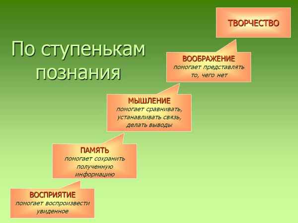 
    Авторская образовательная программа "Наука биология: ступени познания"

      