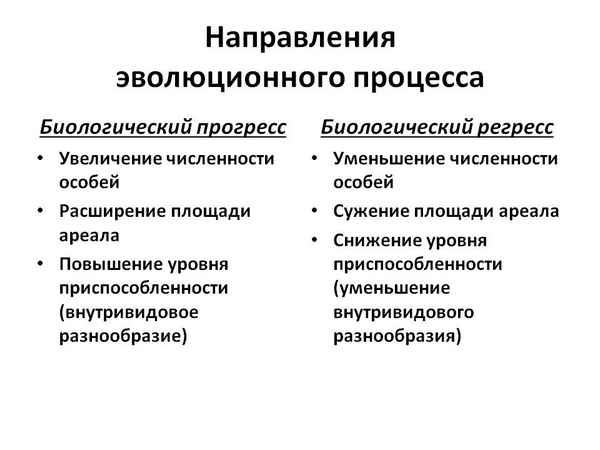 
    Основные направления эволюционного процесса

      