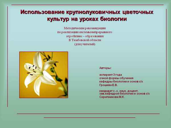 
    Использование крупнолуковичных цветочных культур на уроках биологии

      