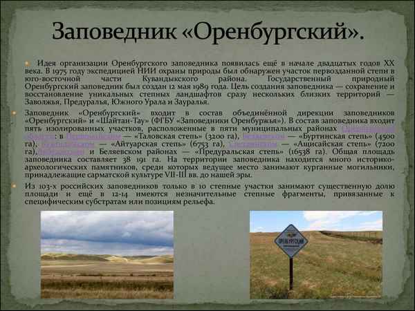 
    Урок-путешествие по Оренбургской области "Места заповедные"

      