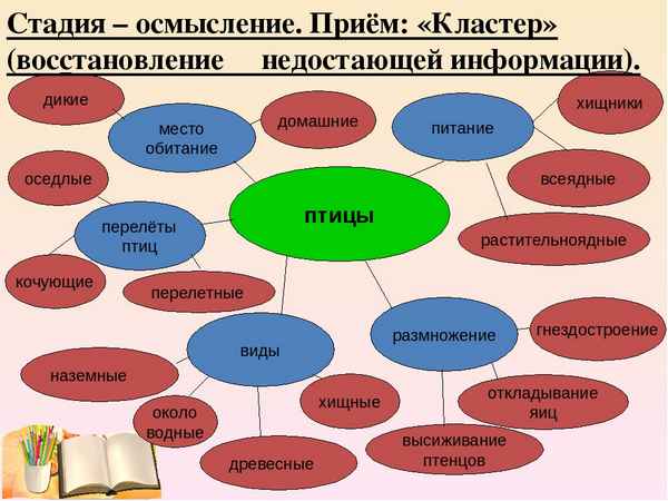
    Урок биологии в 7-м классе по технологии развития критического мышления "Многообразие птиц. Колибри"

      