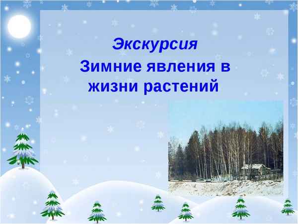
    "Зимние явления в природе" (экскурсия в природу), 6-й класс

      