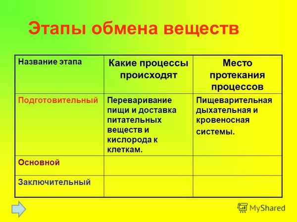 
    Урок "Обмен веществ и условия его протекания"

      