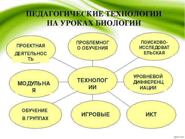 
    Технологии развивающего обучения на уроках биологии. Тема урока "Соцветие"

      