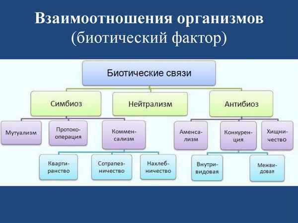 
    Урок по теме "Типы взаимодействия организмов" в 10–11-м классе

      