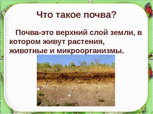 
    Урок окружающего мира по теме "Что такое почва?"

      