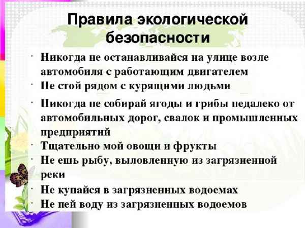 
    Правила безопасного поведения при нeблагоприятной экологической обстановке. 8-й класс

      